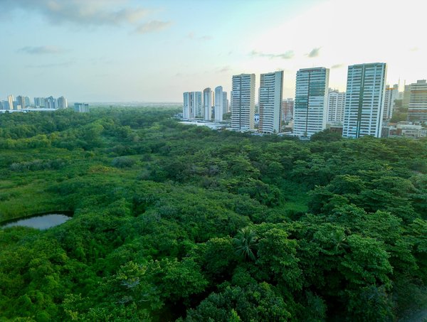 Photo et écologie : l'image au service du développement durable